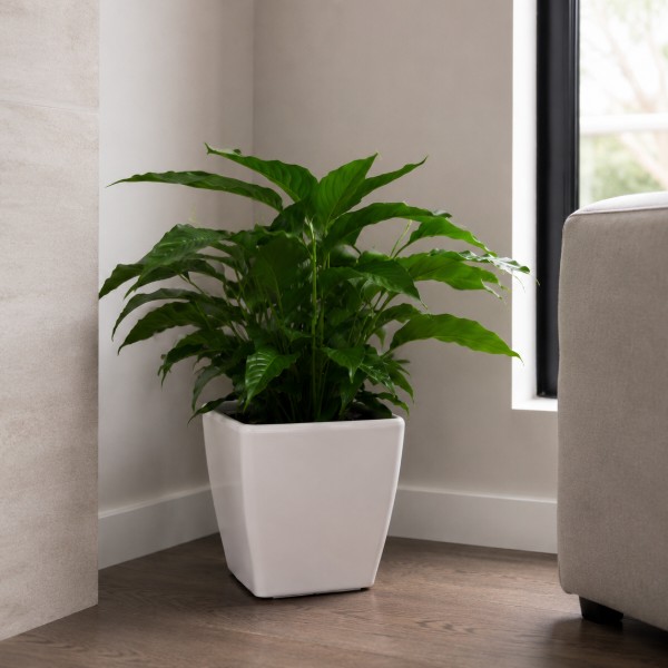 Фото - Вазон Plastkon Quadrato 25x25x24 Flower Lover белый (4114082055)